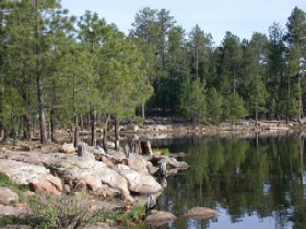 Bear Canyon Lake