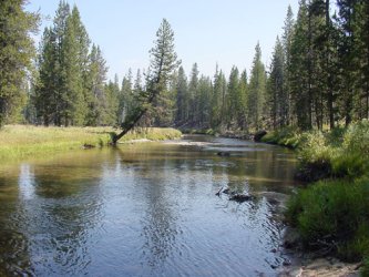 Bear Valley Creek
