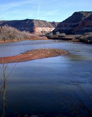 Dolores River in Colorado