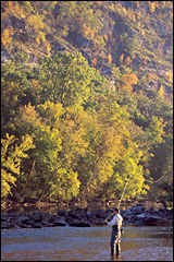 Arkansas's White River