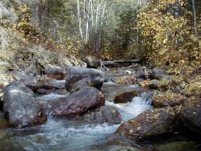 Lost Creek, a tributary of the Swan River