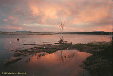 Cochiti Lake Nm