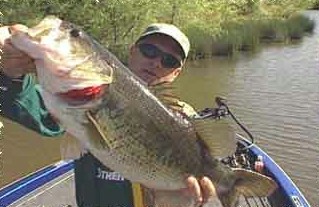 Crappie Fishing Texas